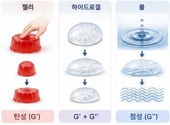 젤리(탄성 G')·하이드로겔(G'+G'')·물(점성 G'')로 이어지는 점탄성 스펙트럼